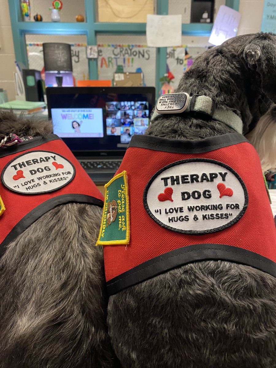 We were so excited to be selected as the Baxter Bucks class reward for <a href="/MrsErmisMBE/">Mrs. Ermis</a> 🐻s!!! <a href="/CounselorMbe/">Maplebrook Counselor</a> <a href="/HumbleISD_MBE/">Maplebrook Elem</a> #LightTheWay #mbeisfamily #mbebears2020