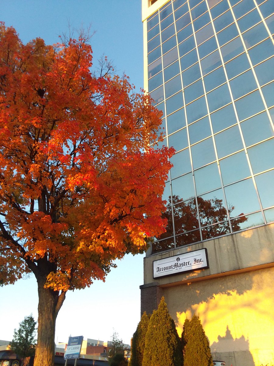 katetheskate91's tweet image. Chestnut Street at sunset. #WashPa