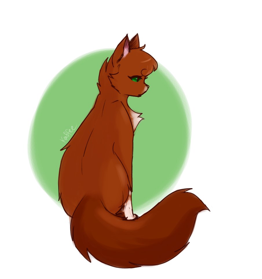 i was stressed so i drew a random cat then it turned into squirrelflight somehow but i'm not complaining