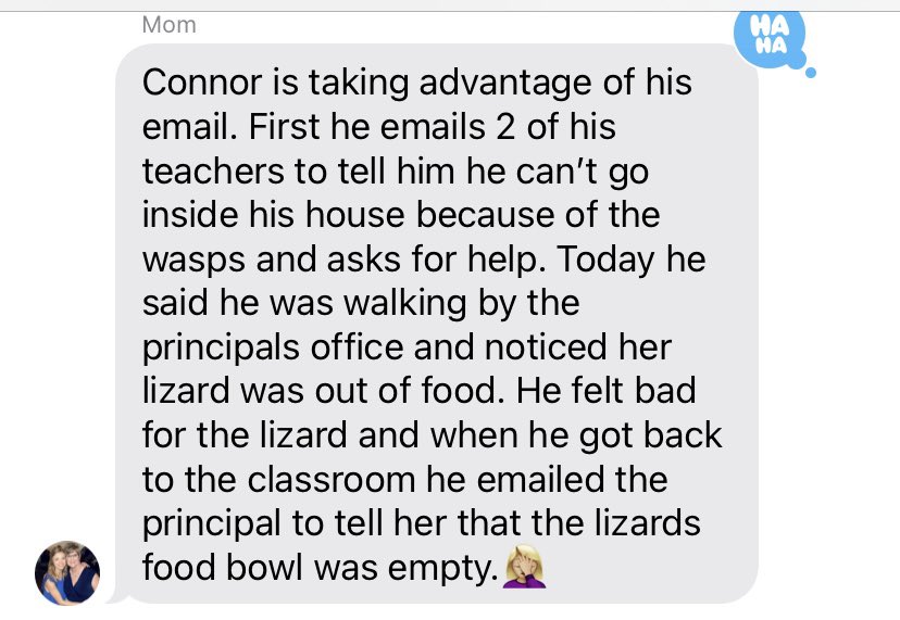 andreasorenson_'s tweet photo. Another email to inform the principal that her lizard was out of food https://t.co/H2PEvuJBxm
