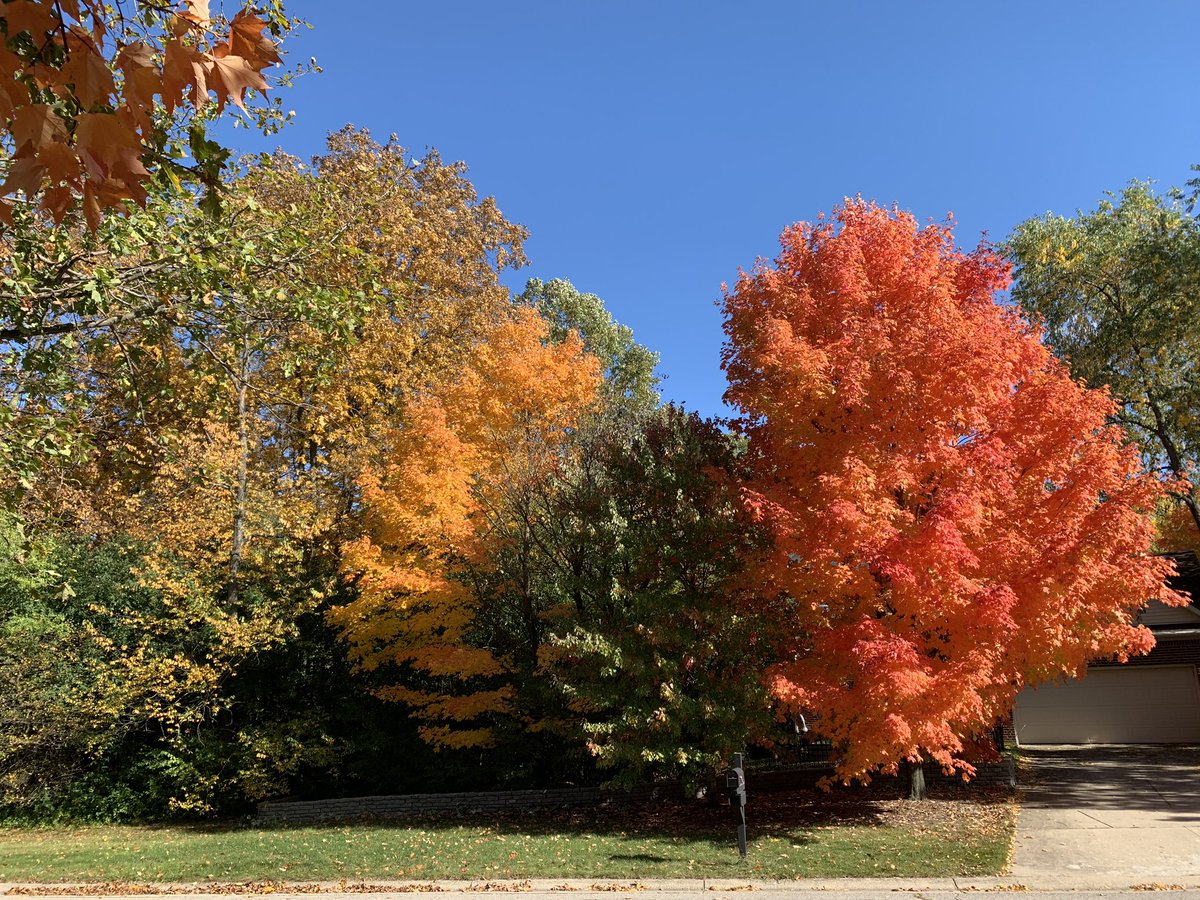 Heather Holshoe tweet media