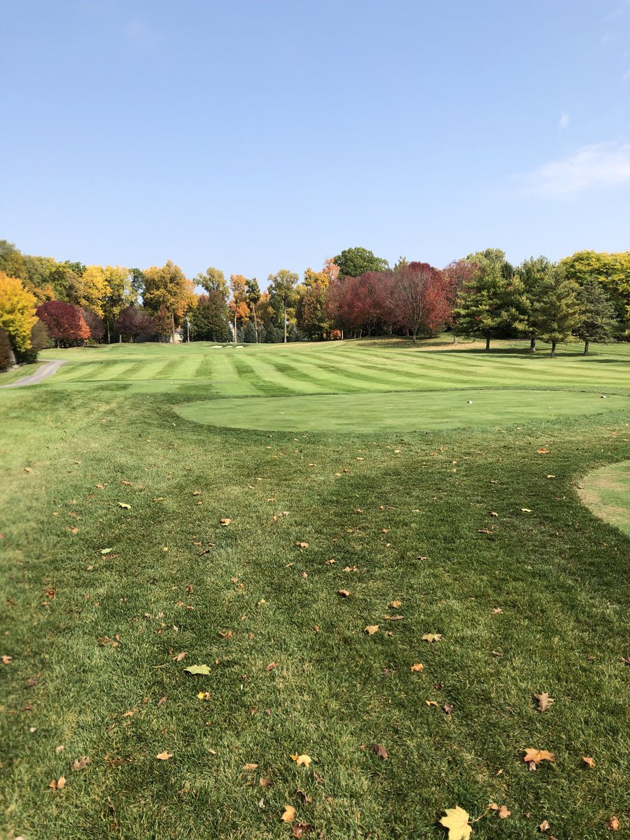 rsrifkin's tweet photo. Fall colors...Sycamore Hills #2. Sorry I’m not a great photographer, but the golf course speaks for itself. https://t.co/fwEHT4HjM8