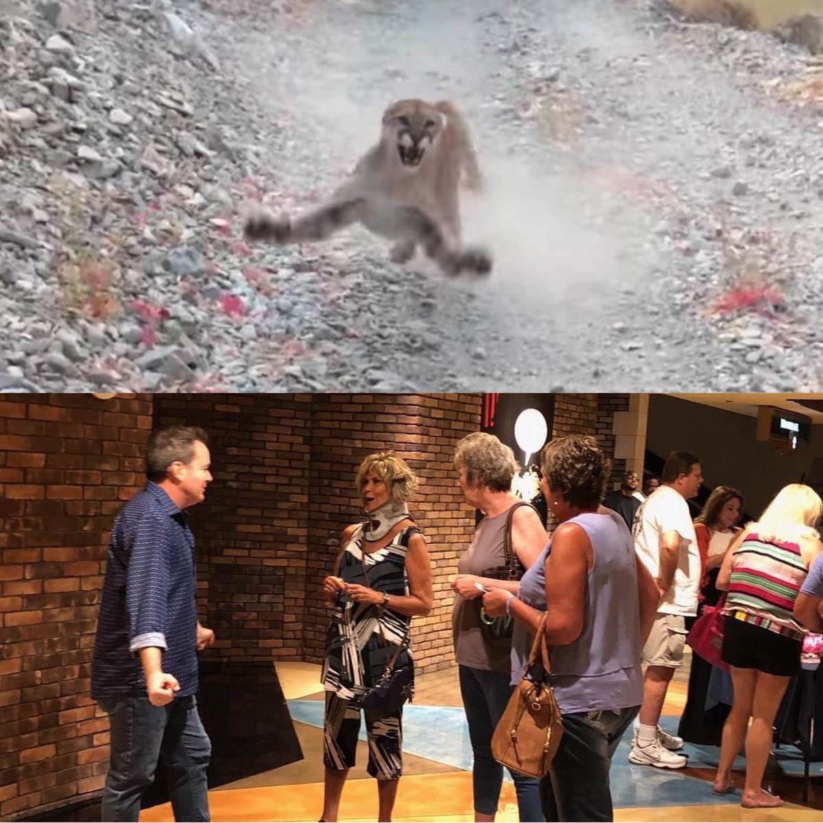 dave__burleigh's tweet photo. You call THAT a cougar attack?!  You obviously haven’t been to one of my shows.  #standup #comedy #jobhazard https://t.co/fsEzWZbNDz