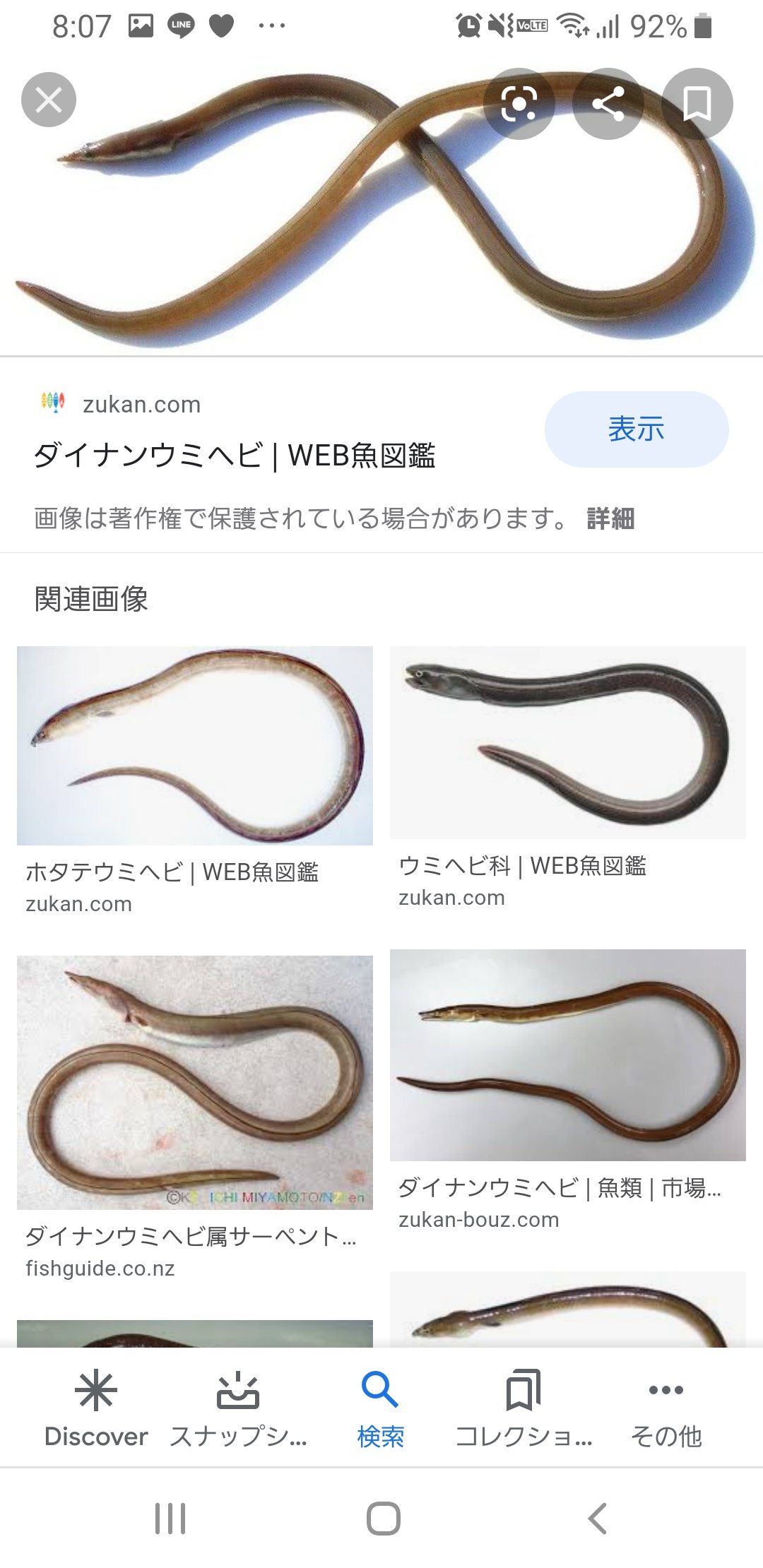 Twitter サケ科魚人 雨鱒 على تويتر Michiko No8 これ みんなウミヘビって聞くと海の蛇を思い出しがちだけど全然違いますから気をつけてください そして昔と比べて今は代替魚はほとんど出回っておりません そんなことあったら訴えて どうぞ T Co Ve0nj806kv