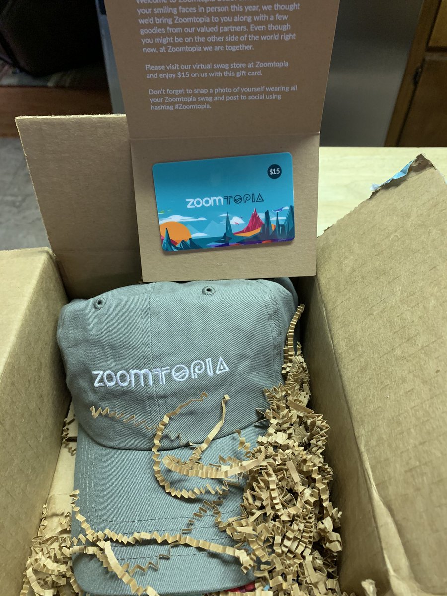 Excited to get my Zoomtopia swag in the mail today! 
#Zoomtopia #ilovemyjob