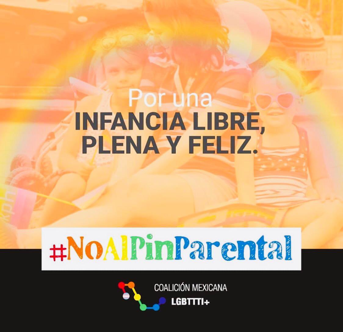 baruchdom's tweet image. Queremos que niñ@s y adolescentes tengan información sobre sexualidad, libre de prejuicios y dogmas, basada en evidencia científica y con perspectiva de derechos humanos. Por eso, #NoAlPinParental. Vía @cmlgbttti