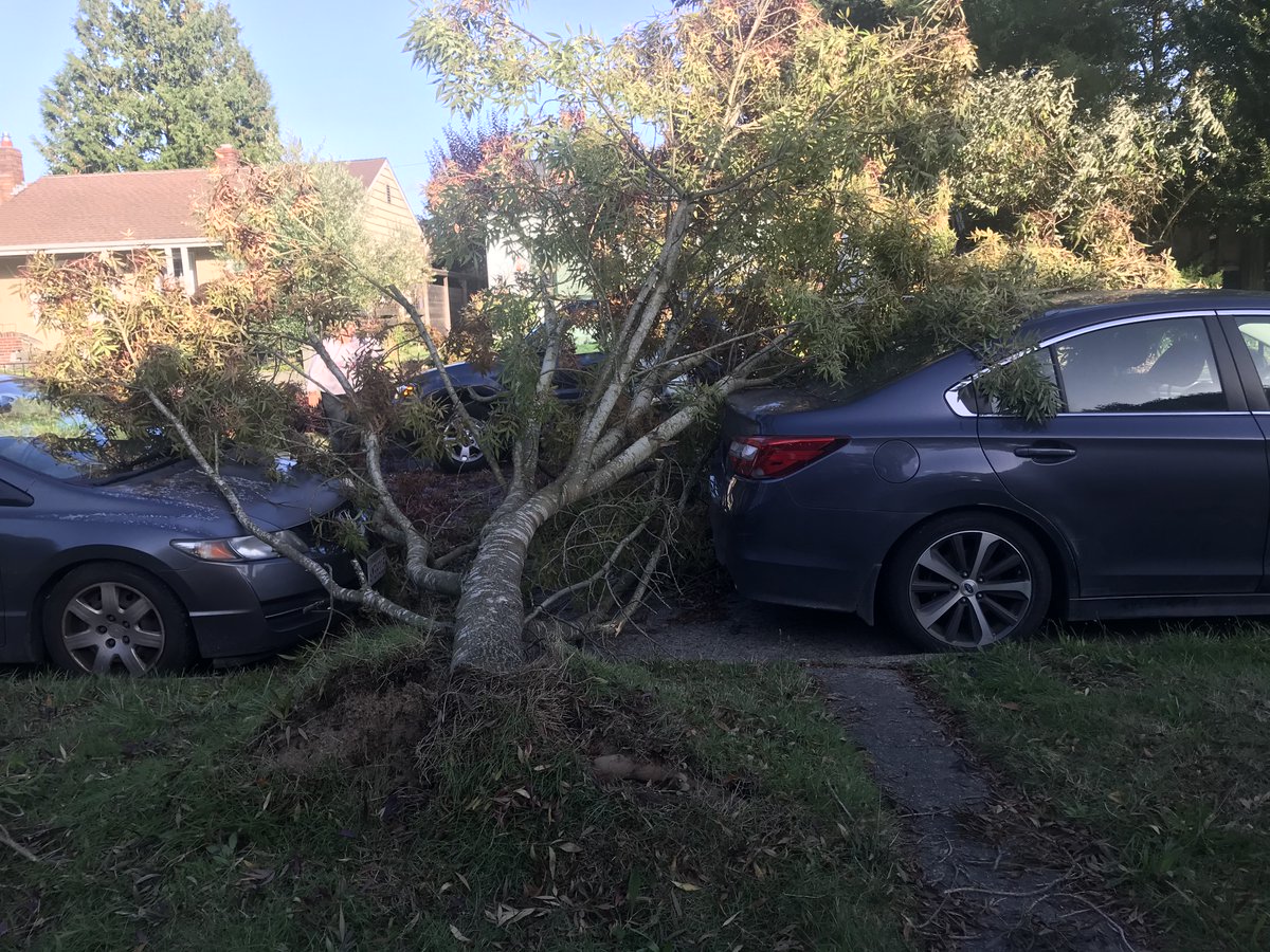 West Seattle Blog On Twitter 6 700 Customers Out Also Trees Down In North Admiral And Sunrise Heights Https T Co Wjmis9fy6y