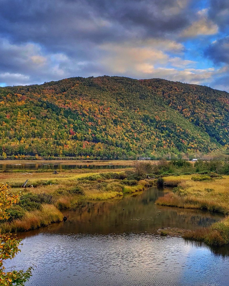 dragonflyhiker's tweet image. Fall in Ingonish #fall #autumn #capebreton #visitcapebreton