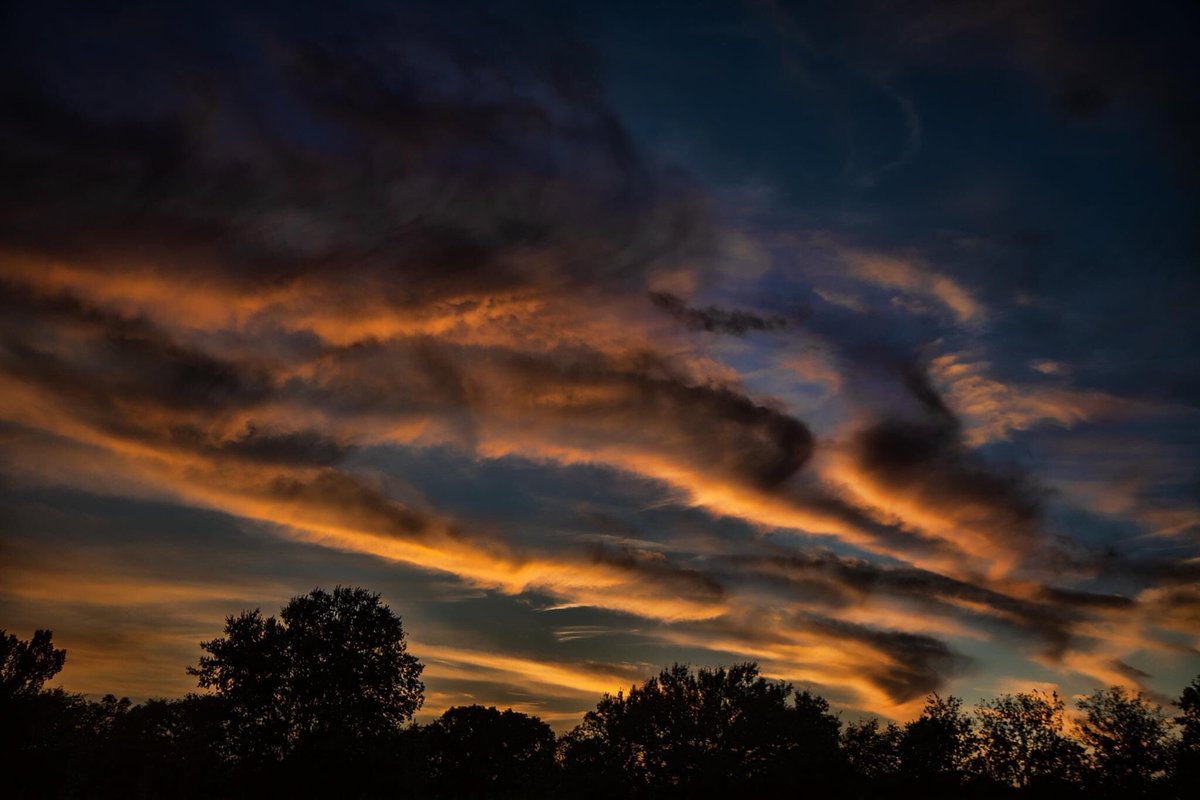 Ronnie Prcin tweet media