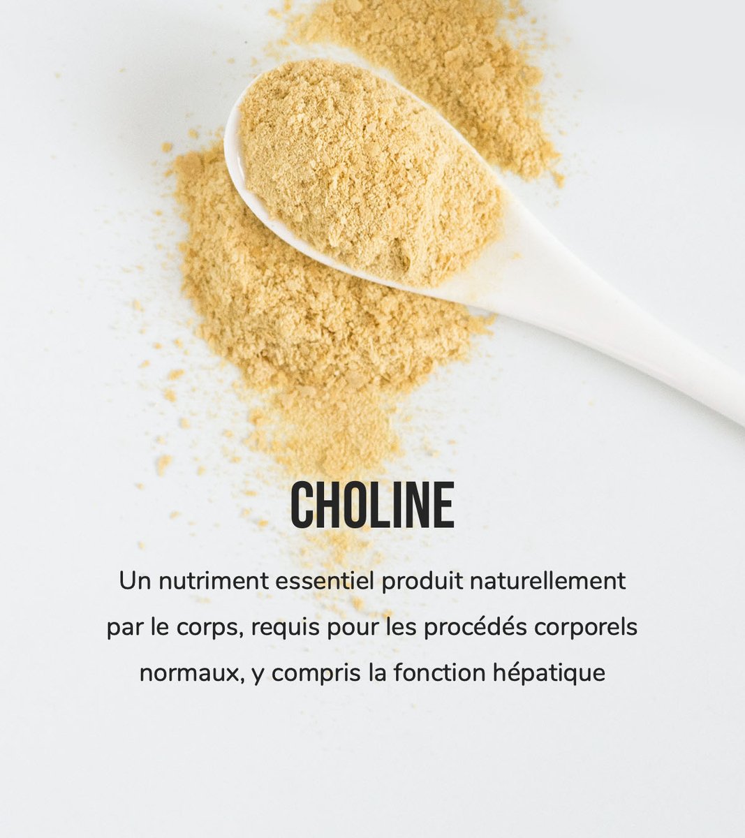 ArbonneCanada's tweet photo. Vous trouverez cet ingrédient vedette dans notre Purificateur pour le corps Arbonne Essentials®, ainsi que le gingembre, l'aloe et le magnésium.
#ArbonneEssentials
https://t.co/gwBnwrEBHU https://t.co/HOF9NbeKJc