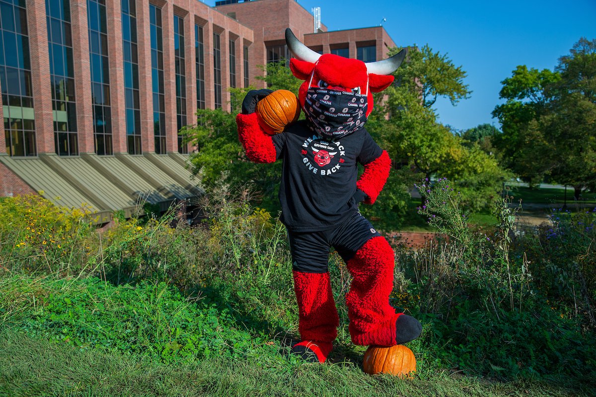 🎃With Homecoming being pushed back to spring, the Office of Spirit &amp; Tradition and Maverick Productions have created "Fun Fall Fest" -- a week full of activities including TWO drive-in movies in one night. 

ow.ly/Lisv50BRiNa