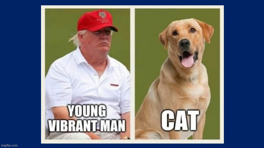 prayerfeathers's tweet image. #TrumpProjection 
Everyone is fat and stupid except #DonaldTrump