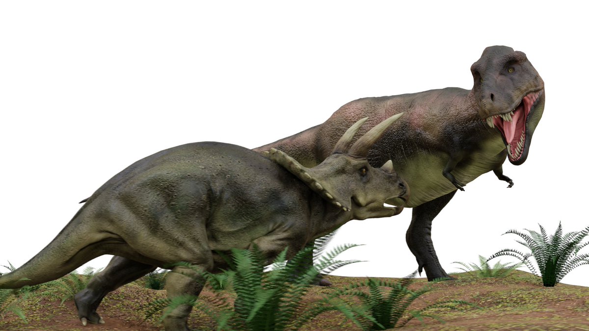 Twoucan 恐竜博物館 の注目ツイート イラスト マンガ