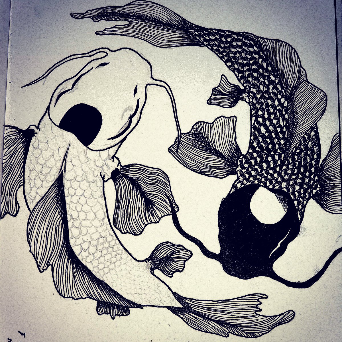 AlphaBasecrew's tweet image. Yin and Yang koi