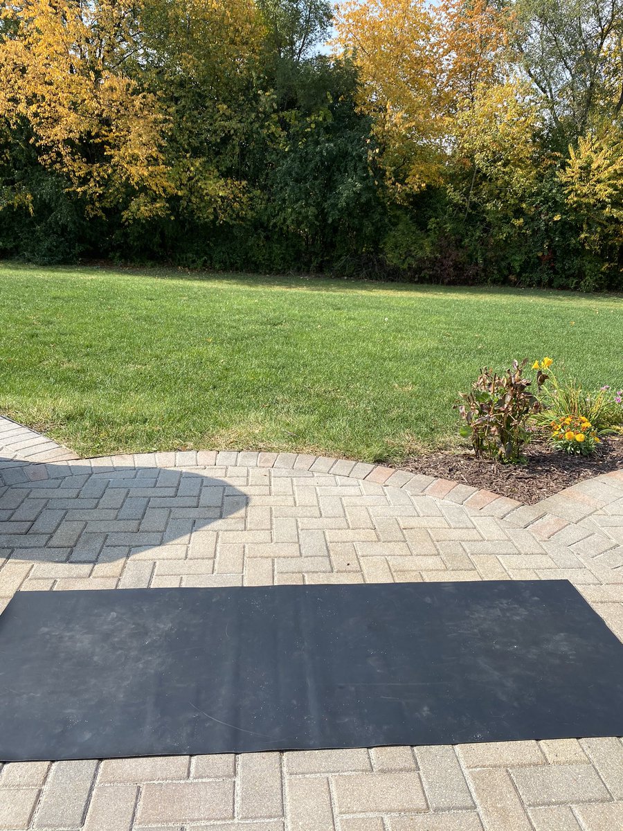 LisaLo1111's tweet image. Virtual yoga teaching definitely has its’ perks #yogamaster #trees #outdoorenergy