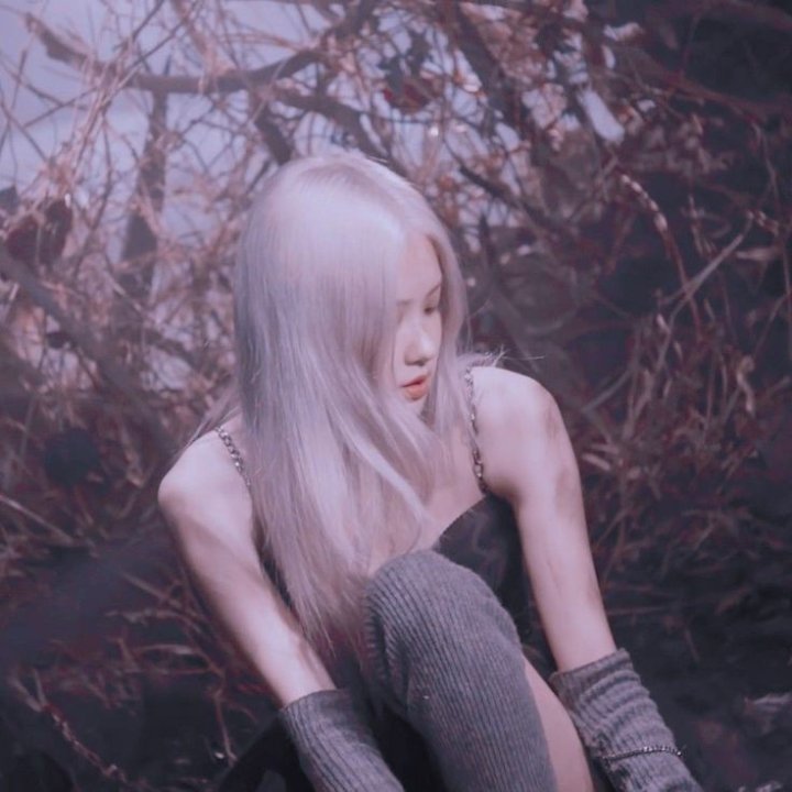 Haii pipel. 🌈🐾

Mutualan hm ? Rt/like yaa
Fambest ? Dm
Rose afc

Newbie di rp twt 

#roleplayerindonesia #roleplayerkpop #rpworld #rpw #roleplay #roleplayerworld