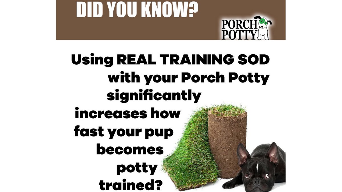 porch potty training