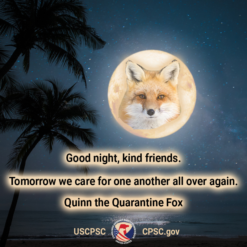 A fox in the moon over a beach. The text reads: good night kind friends. Tomorrow we care for one another all over again. Quinn the quarantine fox.