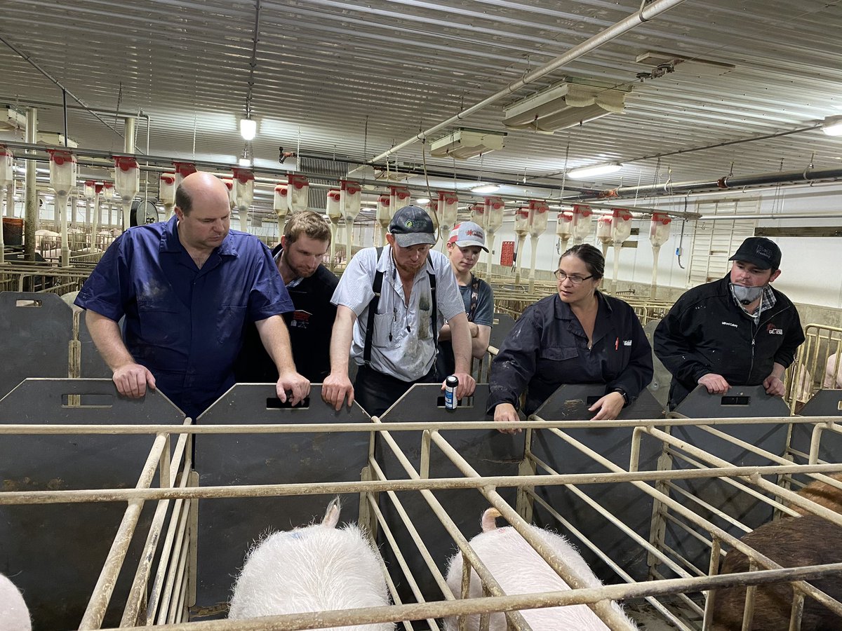 Calvin Ginter tweet media