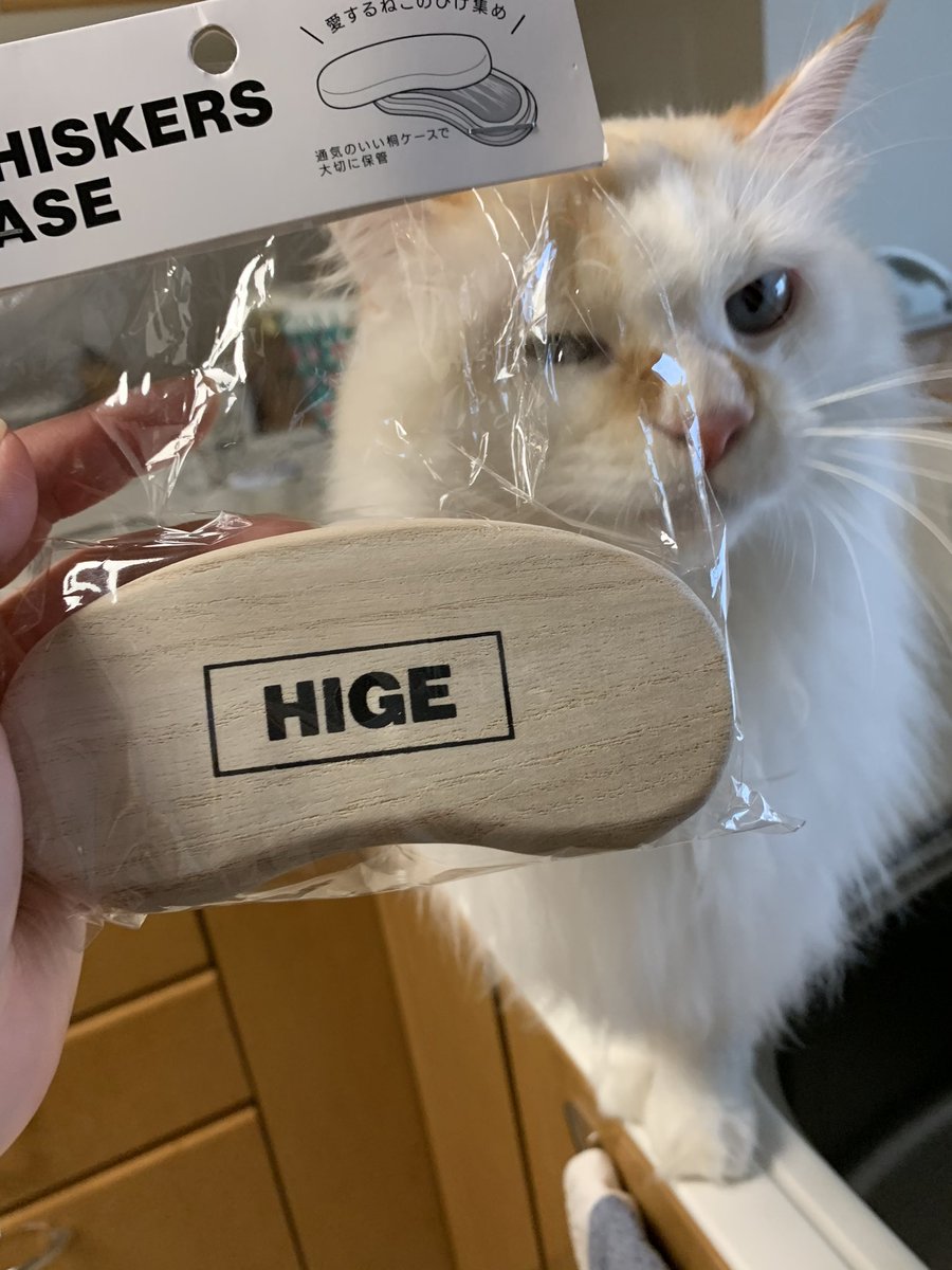 ねこのひげケース ねこのひげケース