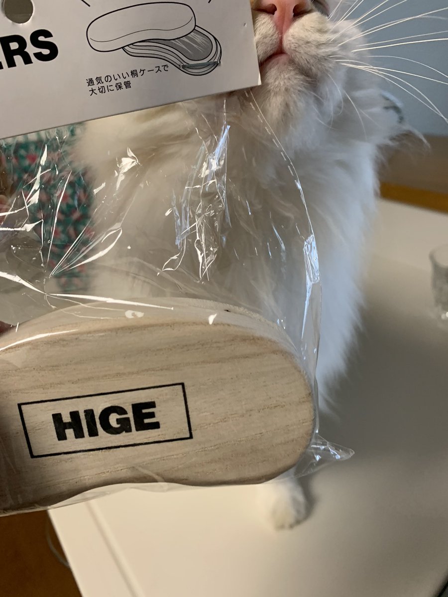 ねこのひげケース ねこのひげケース