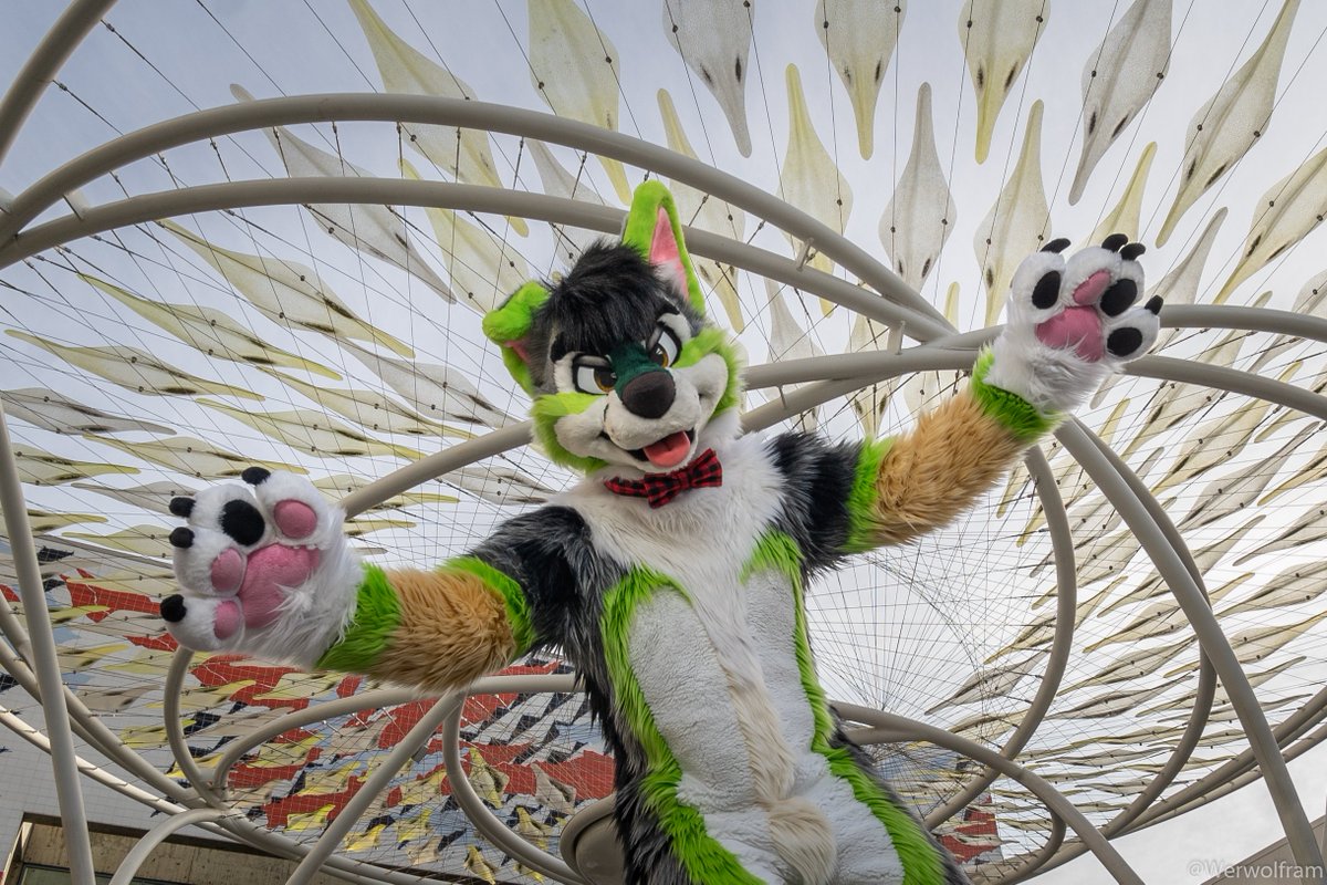Werwolfram's tweet photo. My experience tells me posting photos at 10 pm is a bad idea but what the heck let's do this.
#FC20
🍅: @ASpicyTomato
👔: @mixedcandy https://t.co/ak706DrTUj