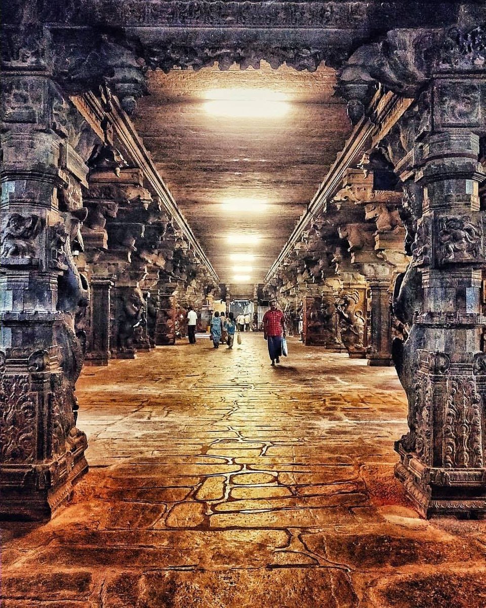 An unrecognized wonderA truly one of a kind Mandir is the Nellaiappar Mandir in Tirunelveli, Tamil Nadu. Dedicated to Bhagwan Shiva and Devi Parvati, the ancient temple has unique musical pillars in the Mani Mandapam which produce varying pitched sounds when struck..