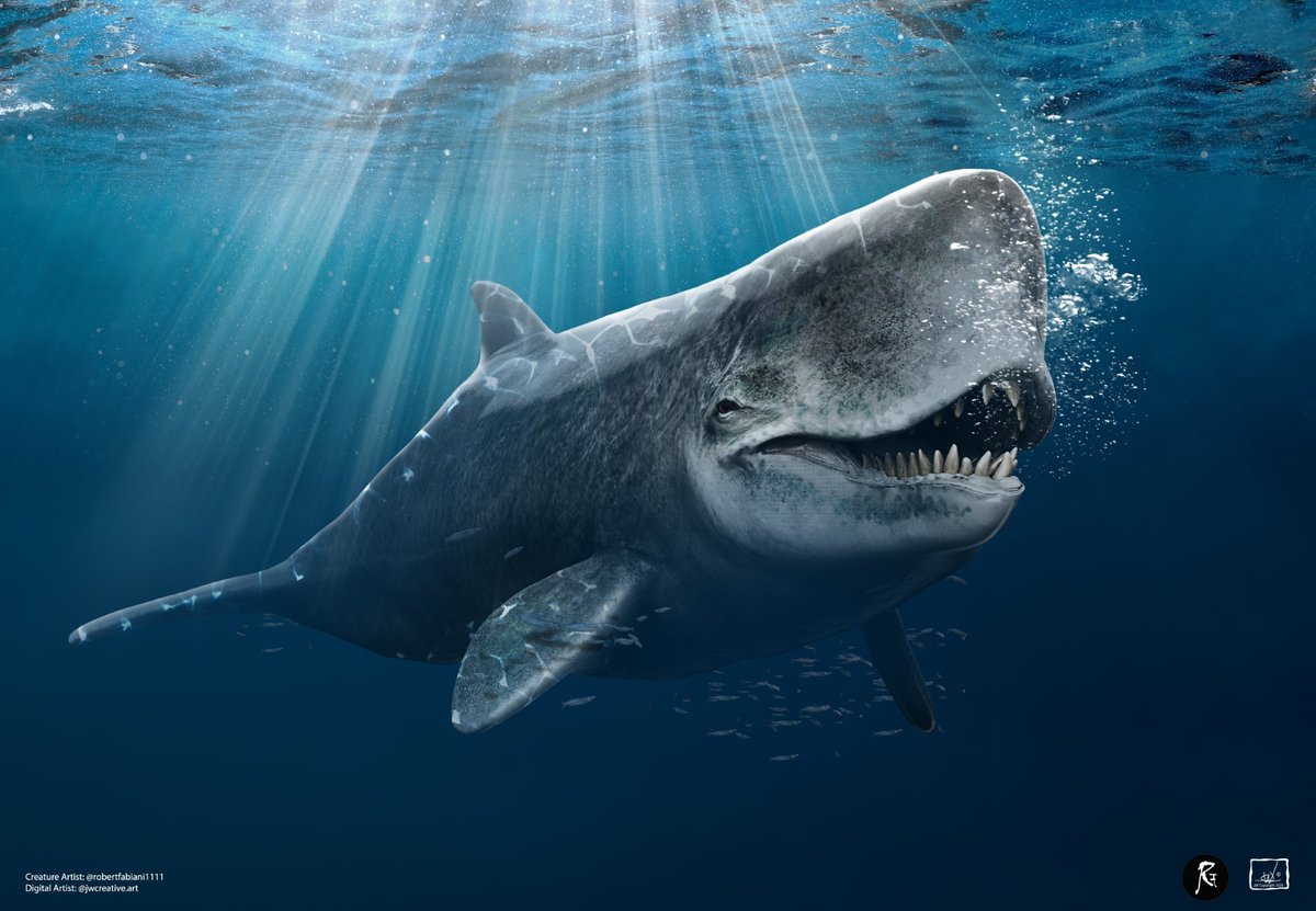 JwCreativeArt's tweet photo. Livyatan is alleged to have hunted Megaldon (giant shark)⁠
⁠
Creature Artist @ robertfabiani1111⁠
Digital Artist: @jwcreative.art https://t.co/sbNXfdCYL9