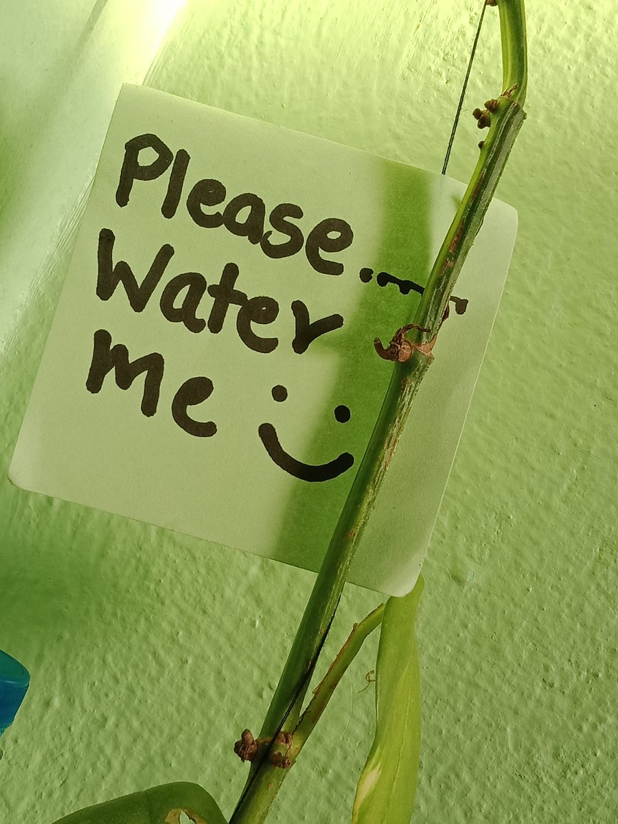 ByanjuSandhya's tweet photo. To remind myself to water plants 😚😂 #goodmorning https://t.co/MeBruQdkr2