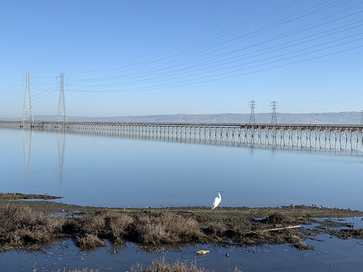 Jorge Castañón tweet media
