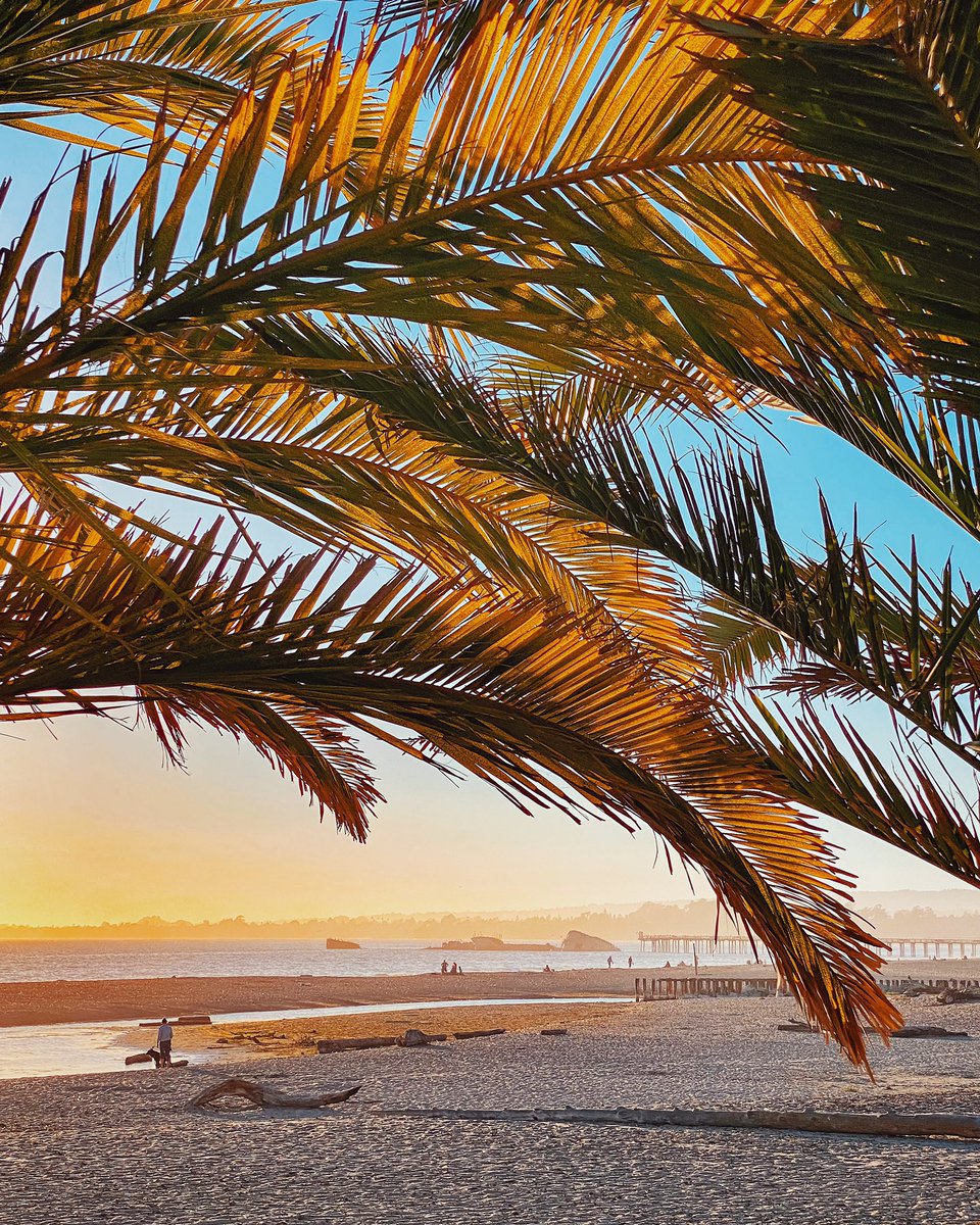 We live in paradise 🌴🏖🌿🌊⁣
⁣
#aptos #seacliff #santacruz #sunset #cementship #sspaloalto