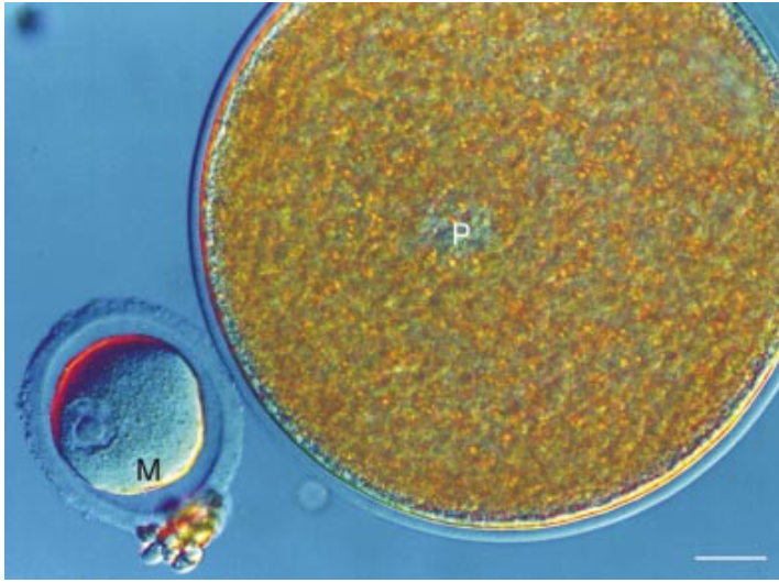 Jamie Chapman 🔬🔬 tweet media