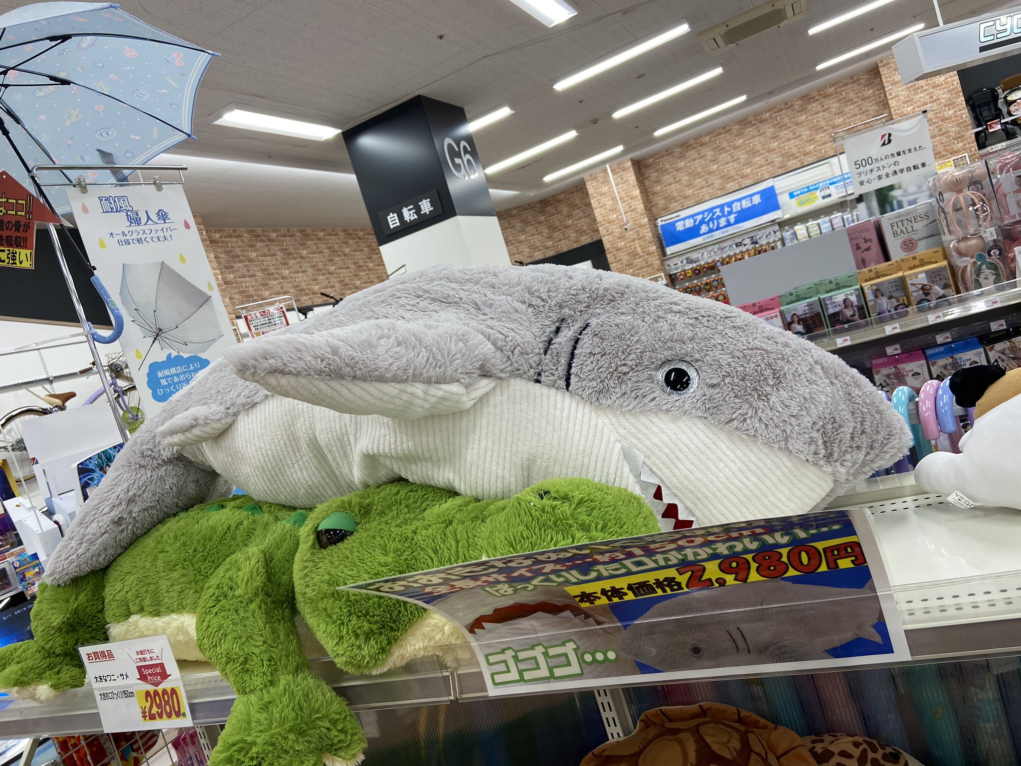 名護柳エレクトラ 作業ラッシュ入る アピタのサメぬいぐるみオススメ 150cmあって2980円 でかい やすい T Co Hci5myyd2v Twitter