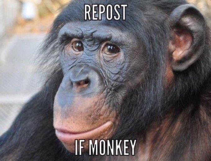 OutOfContextEv's tweet photo. https://t.co/z9f5NAH6IS