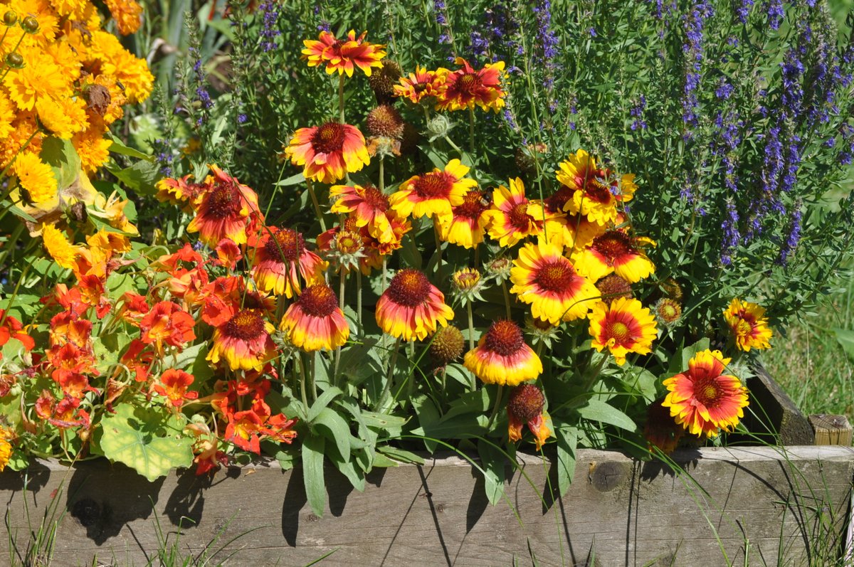 Good morning to <a href="/julialuvsmusic/">Julia Suchy</a>  &amp; <a href="/OrpheCoksesli/">Orphe Çoksesli Koro</a> . Thank you for your support! Have a lovely day!