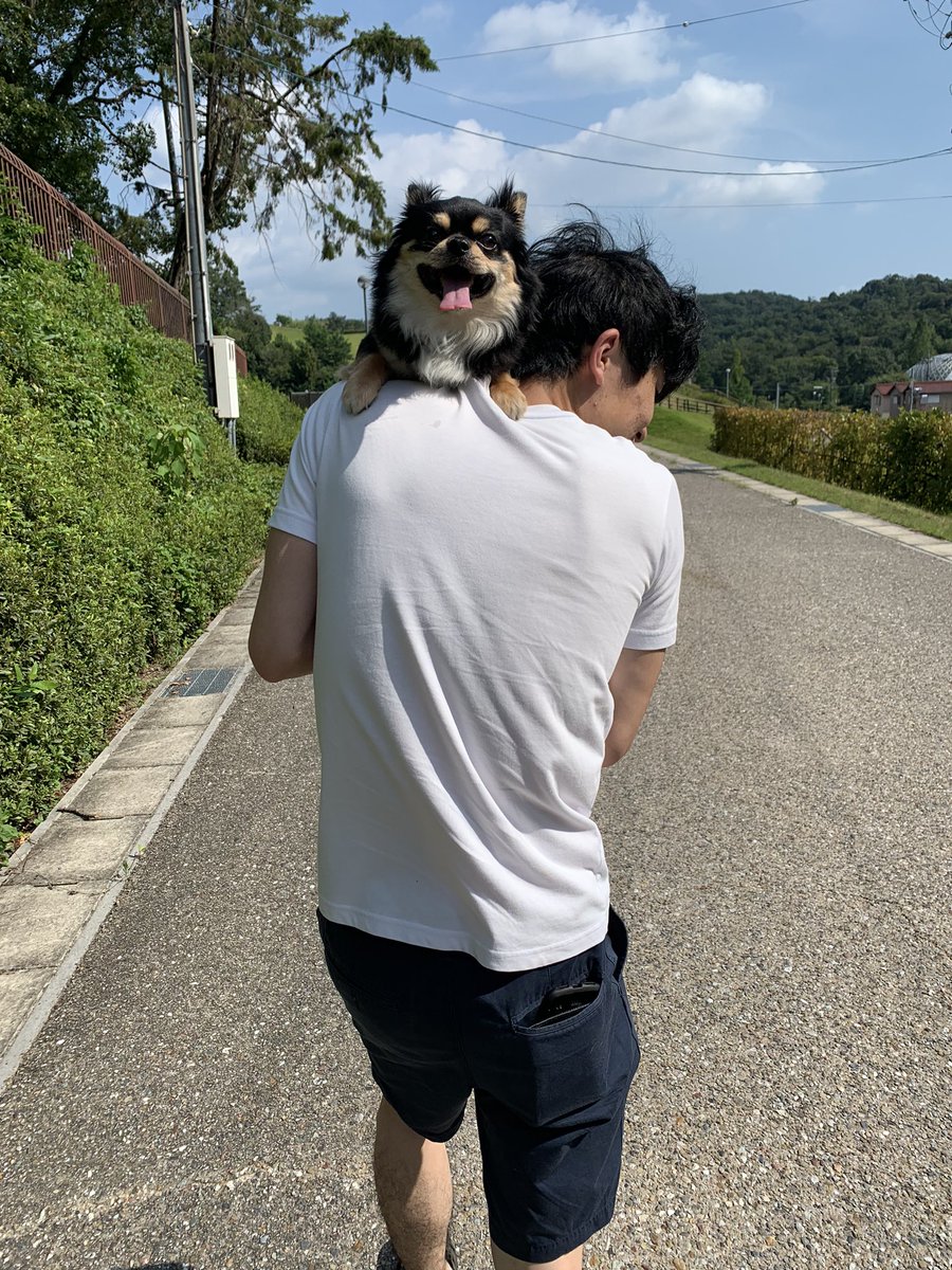 #アニコムモデルになりたいワン