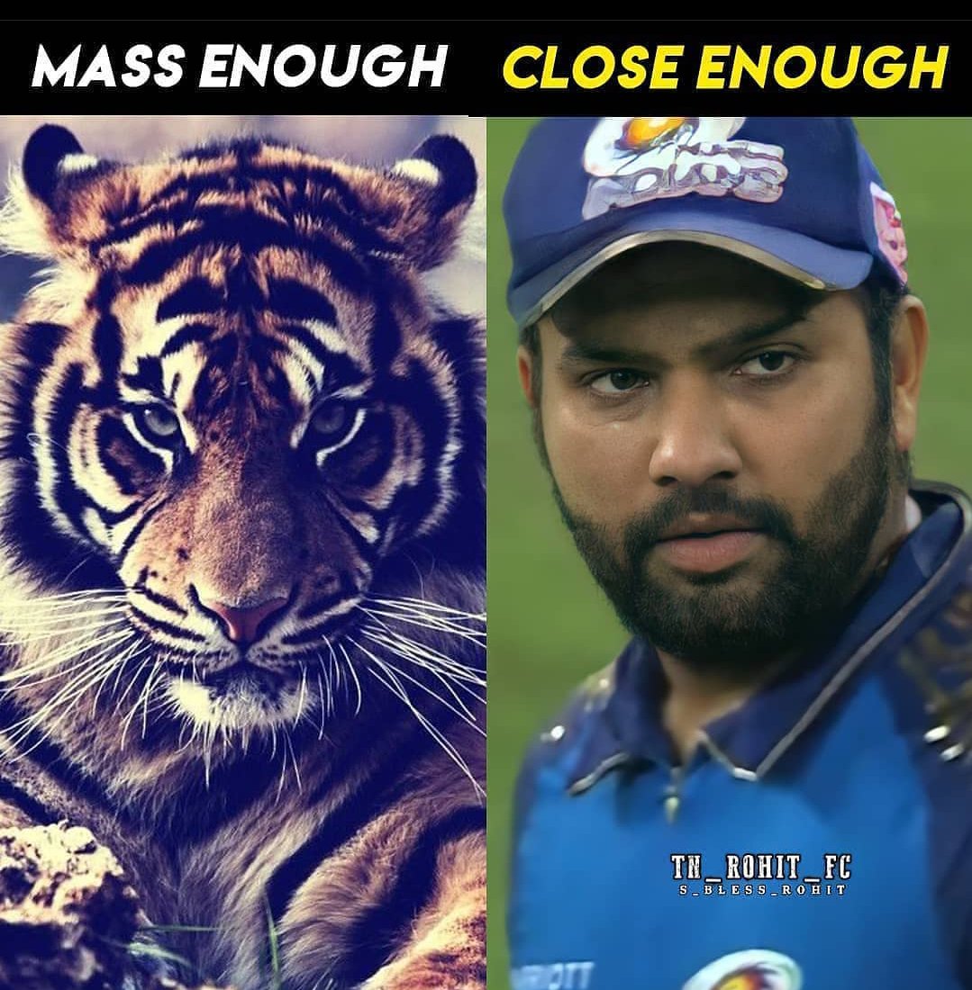 RowdyLadki's tweet photo. Woah!!!! π₯π₯π
#Ro #MumbaiIndians #Omefamily @ImRo45 https://t.co/JablPpUzpz
