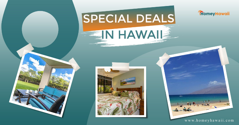 HomeyHawaii's tweet photo. Lovely Hawaiian vacation condos and homes at discounted prices. Book directly through the owner and skip the unwanted fees. Let the bargain shopping begin! https://t.co/NMYWYTxStQ #HomeyHawaii #tripdeals #HawaiiVacationRentals #BeachVacation https://t.co/ir3WgLcCHo