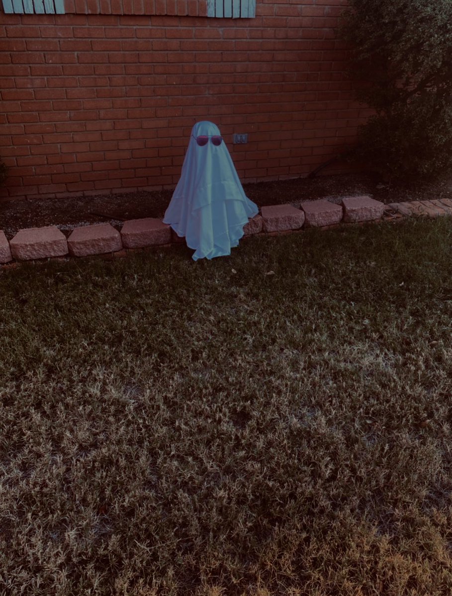 Kat_Valenz's tweet image. Best time of the year 🎃👻🖤