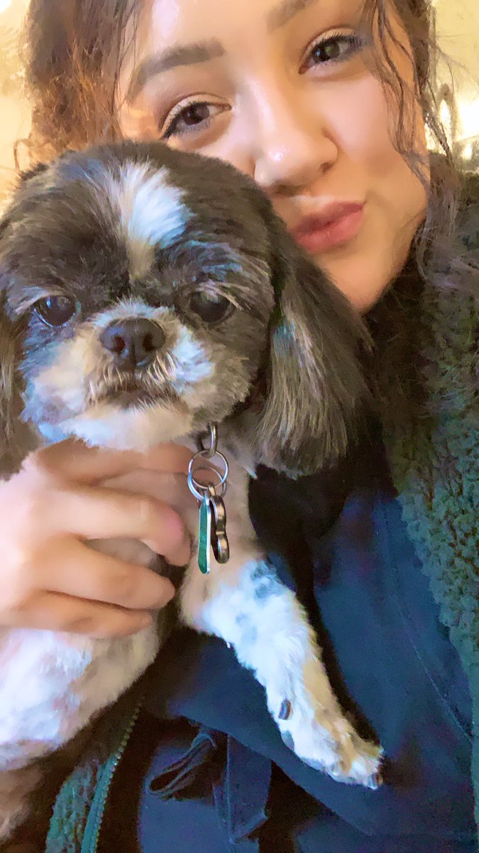 ohnohellie's tweet photo. We put Abi down today. Only one person was allowed to go in with her so we have video of her last moments. She lived a very good life and was so loved. She’s in heaven now with Grandma and Papa John. She will be missed #ripabi we love you https://t.co/dCHsWDXVmn