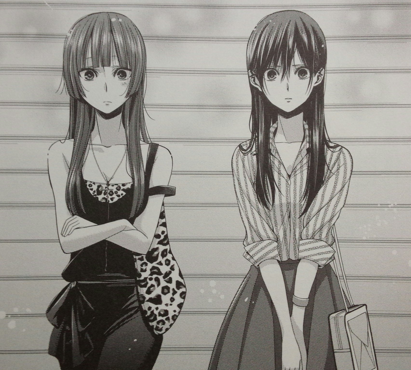 百合漫画　推しちゃれ　citrus　額装高精細複製画　藍原柚子　藍原芽衣 百合漫画 推しちゃれ citrus 額装高精細複製画 藍原柚子 藍原