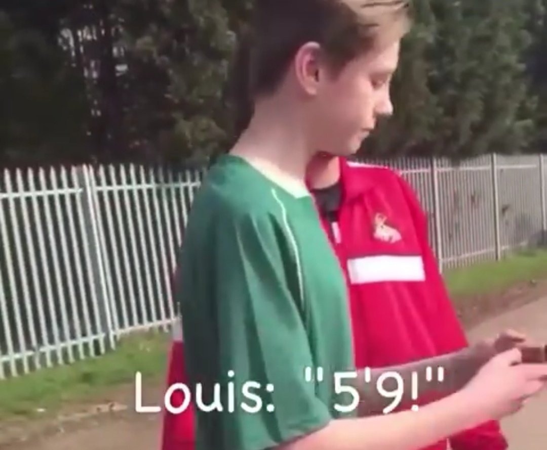 Hablando de números, todas tienen a Louis como si midiera 1.70/1.72 cuando él ha dicho que no mide eso, mide 5'9 es decir, 1.75, sus hermanas también lo han repetido en distintas ocasiones.cc: archies planet in youtube
