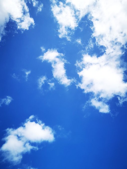 一日一枚空の写真をのtwitterイラスト検索結果 一日一枚空の写真をのtwitterイラスト検索結果