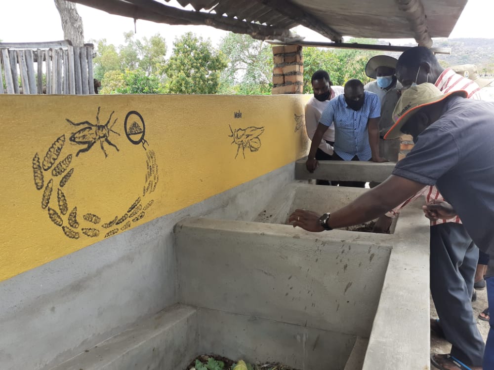 MaminiminiObert's tweet photo. Season preparedness mission 2 Mutare dist by @MoLAWRR_Zim officials.   @LFSPZim Black Soldier Fly demo site Ward 17 Mutare dist showcasing farm prdn of affordable protein 4 livestock feed @basera_john @faosfsafrica @AgritexS @ChinhoyiCUT @MusundireRobert @zfu_official @sat_zim https://t.co/4YNVpTBNaW