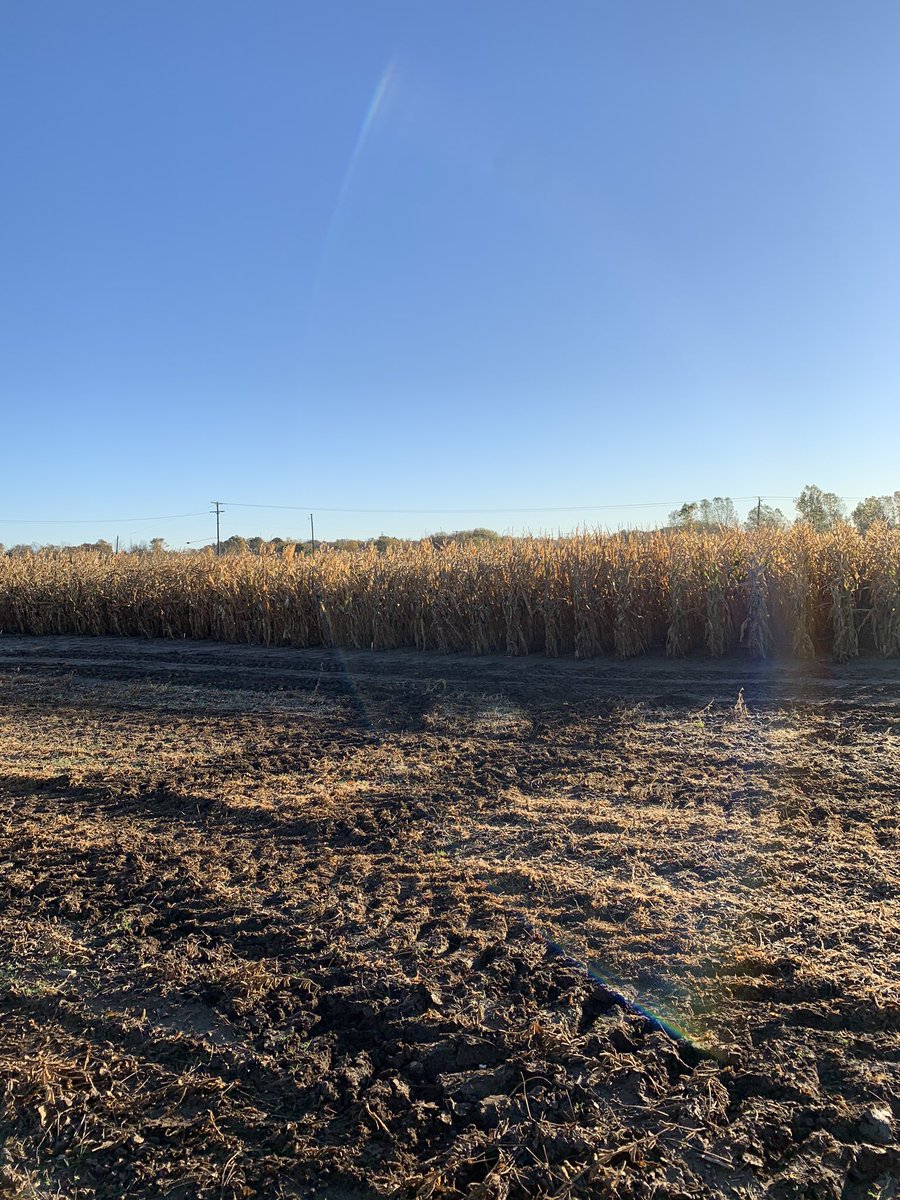 Ryan O’Leary tweet media