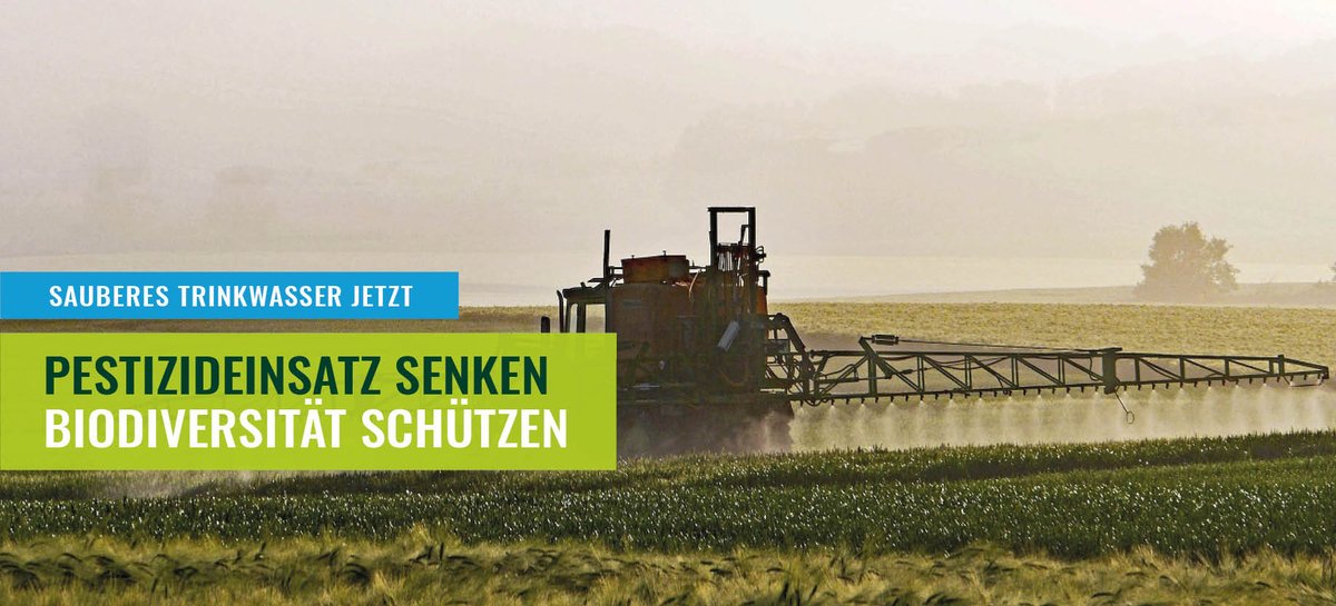Es ist seit Jahren belegt, dass die #Biodiversität in der 🇨🇭durch die hohe Pestizidbelastung im Grund-und Trinkwasser leidet. Wir fordern daher politisches Gegensteuer und ein JA zur liberal formulierten #Trinkwasserinitiative.
Unsere Medienmitteilung 👉bit.ly/3doHwEC