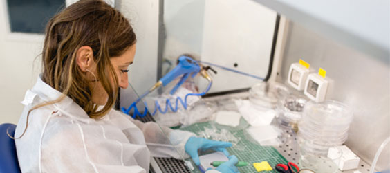 Université PSL tweet media