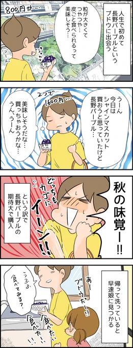 この秋は長野パープルを食べるのです。 ブログはこちら→ https://t.co/oD5QeDhmBi 