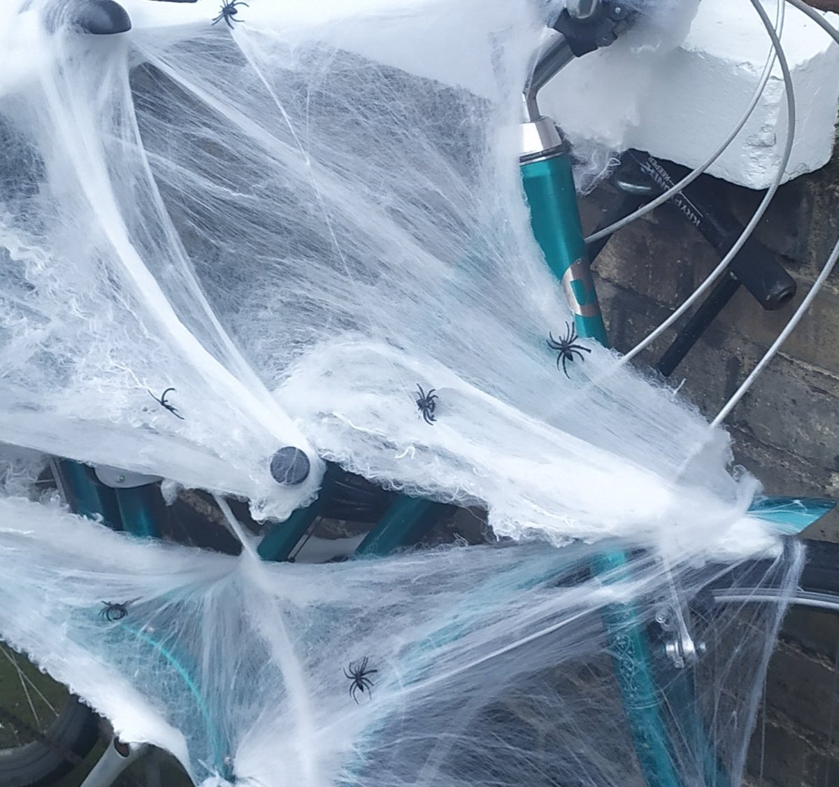 Gooooood Morning! How's everyone?
More spooky shenanigans in Stoneybatter and this home is wheelie increasing the suspension for #Halloween 👏👏.
Yes they're real spiders 🕷️🕷️. 
⚠️ Watch out
#StoneybatterHalloween🎃
