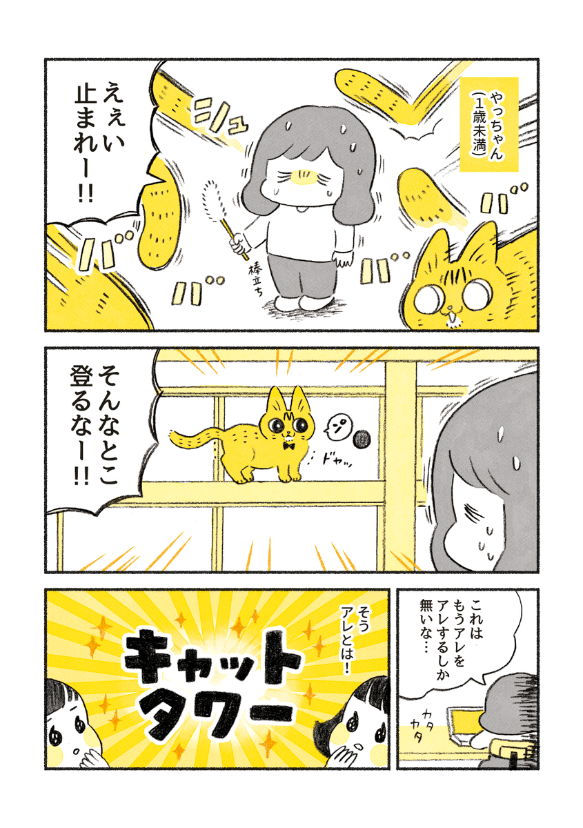 やっちゃんのキャットタワー 